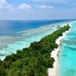 88c098743eef4a43a5bd6643692bb8d6